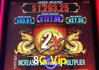 Flash Promotion 8G Vip